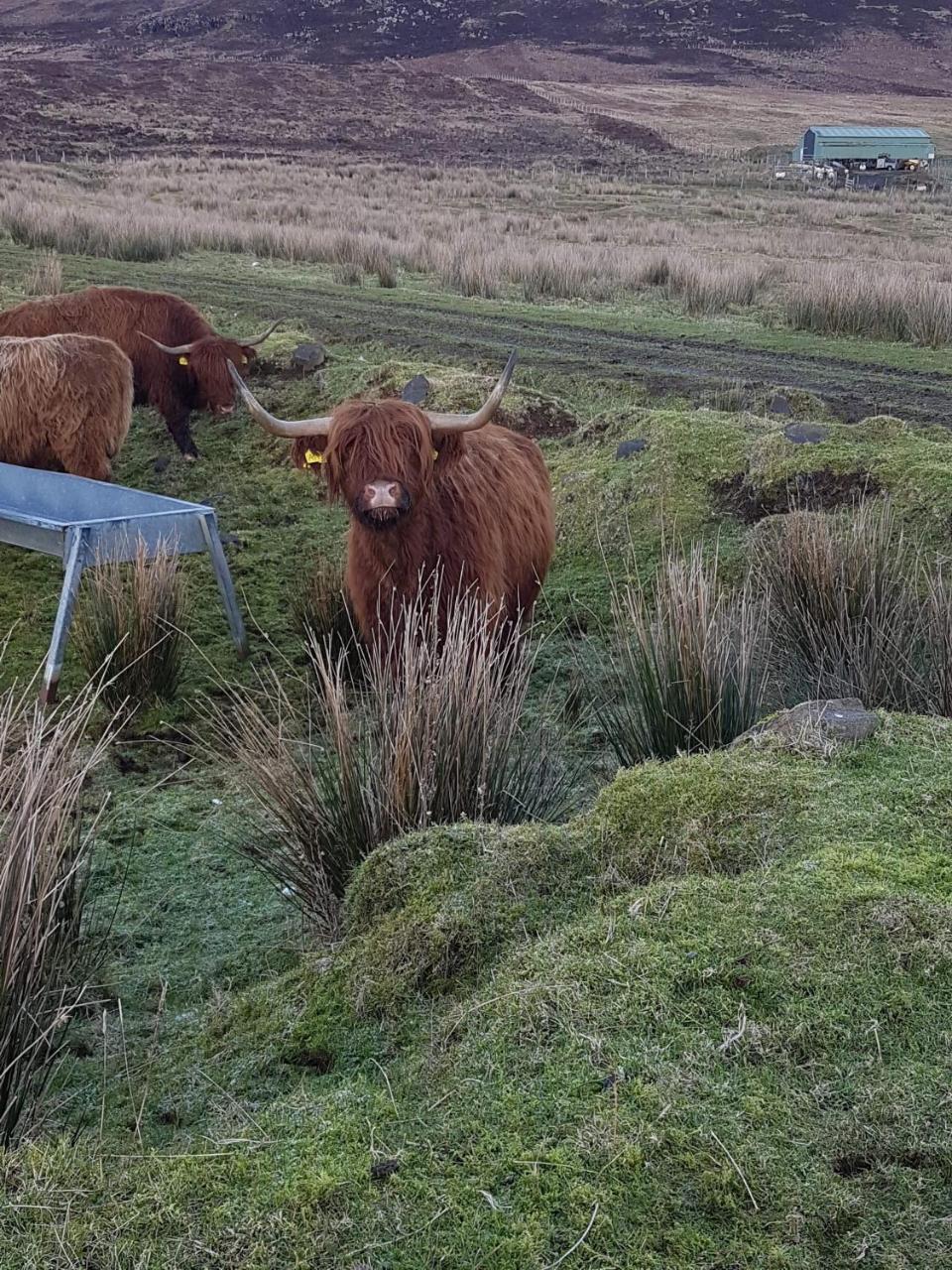 Trotternish B&B Kingsburgh Buitenkant foto
