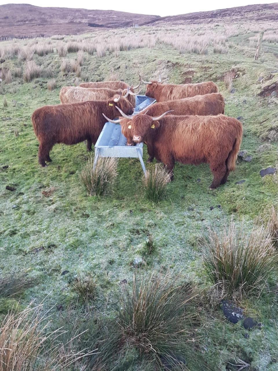 Trotternish B&B Kingsburgh Buitenkant foto